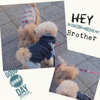 ���ꂩ���