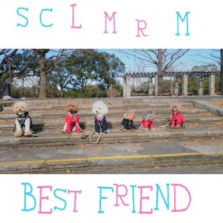 ���F�B��