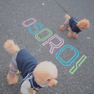 ���\����♡