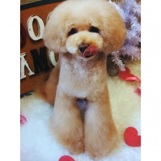 �y���������