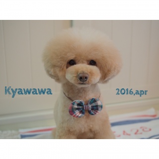 �L������♡