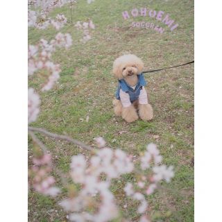 �\���C���V�m�@