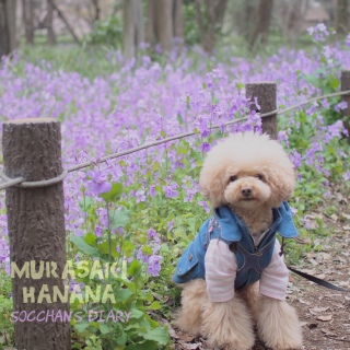 �����T�L�n�i�i