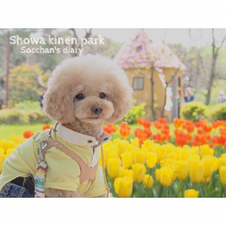 ���Ƃ���