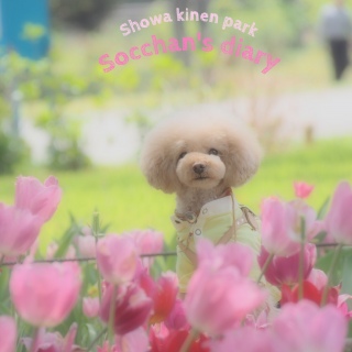 �s���N�̂���