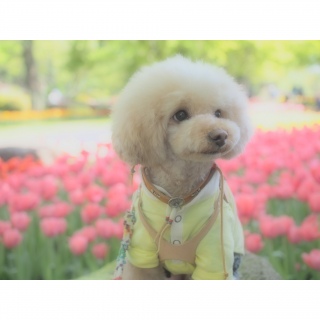 �M�������[��