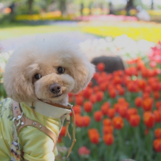 �M�������[��