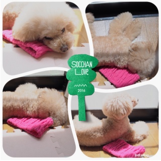 �`���[���b�v��