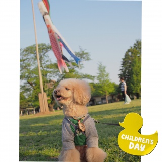 ���ǂ��̓�