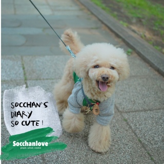 ���̓���