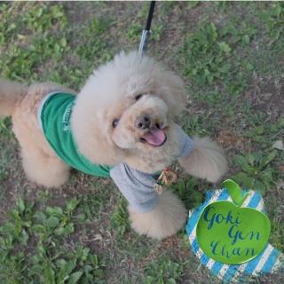 ���������[��