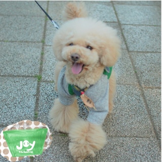 ���������[��