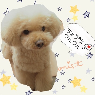 ���˂���