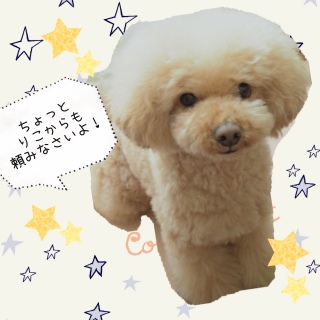 ���˂���