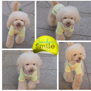 ���܂�[��♡