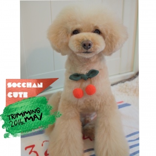 �g���~���O��