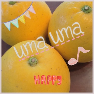 �W���[�V�[