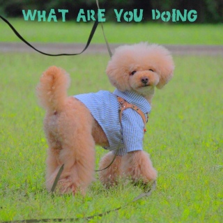 �y������