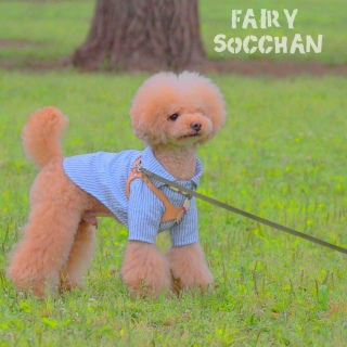 �d�������♡