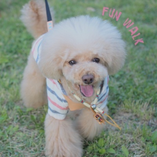 ������