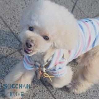 �y������