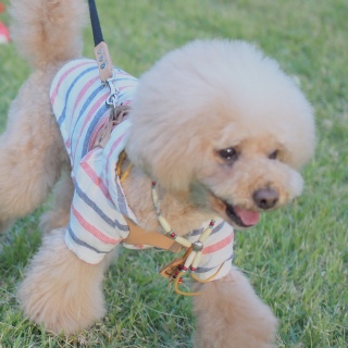 �y������