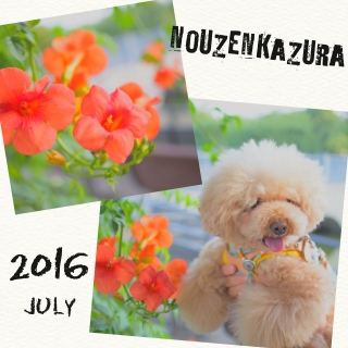 �����̂�?�i�΁j