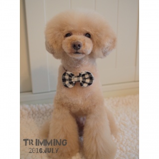 ������������