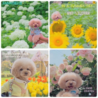 ���C�ɓ���