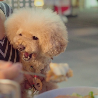 ���炦�Ȃ���