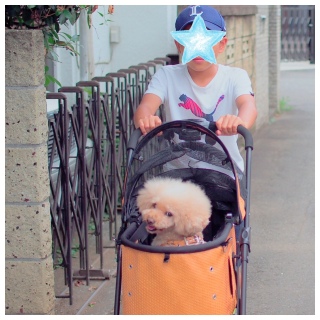 ���̂�����