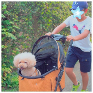 ���̂���