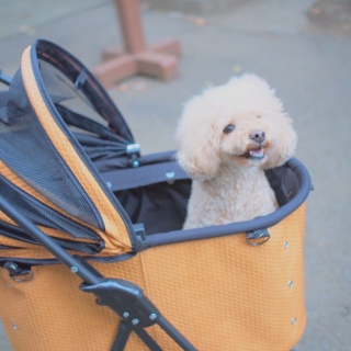 ���̂���