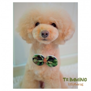 �g���~���O��