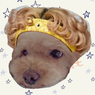 ���s��ɂ̂�����♡