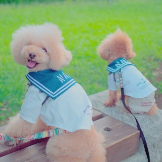 �f���f���[�A