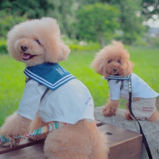 �f���f���[�B