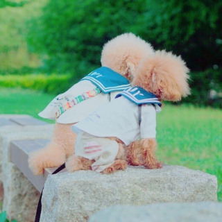 ������♡