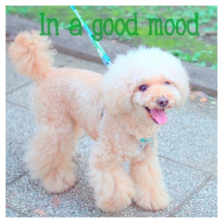 ��イ������⁈