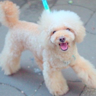 ���ߍ���