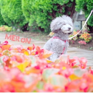 �����[���I