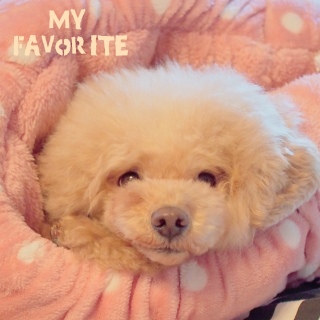 ��������`�I