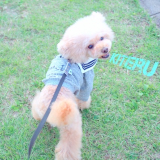 �����U��