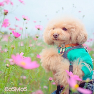 ���F�B��