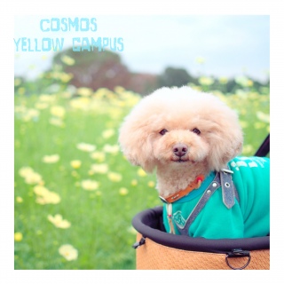 ���Ԕ���