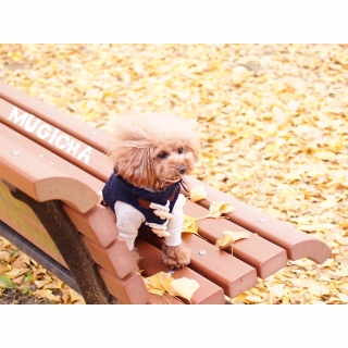 �x���`��