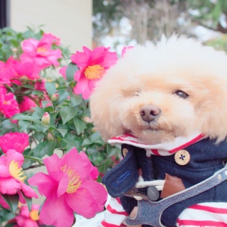 �ǂ��ɂ��邩��?