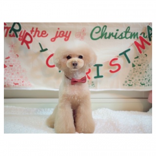 �g���~���O�A