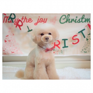 �g���~���O�B