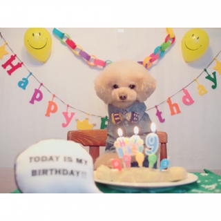 ���a������